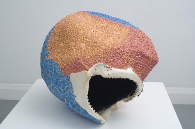 Rohan Wealleans, Unseeing, 2008, acrylic paint, shark jaw, plastic, 76 x 59 x 66 cm 