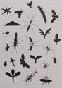 Richard Killeen, Black Collection, 1979, silkscreen print, 810 x 615 mm