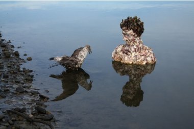 Andrea du chatenier, River Lagoon, Whanganui, 2011, digital print, 580 x 870 mm framed.