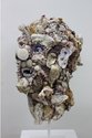 Andrea du Chatenier, Fang, 2011, polystyrene, shells, epoxy resin, glass eyes, found objects