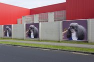 JahJahSphinx, CDJ, a Te Tuhi billboard project on Reeves Road