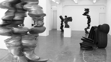 Tony Cragg sculpture installed at Gow Langsford