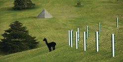 On left, Sol LeWitt, Pyramid (Keystone NZ), 1997, standard concrete blocks, 7.75 x 16 x 16 m. On right, Daniel Buren, Gtreen and white Fence, fence posts at 4 m intervals, painted green and white87 mm stripes, 3.2 km long. Photo from Gibbs Farm website.