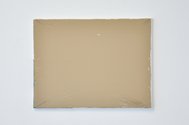 Bob van der Wal, clay brown, 2012, Auckland city Council clay brown acrylic, uracryl shield, plastic, canvas