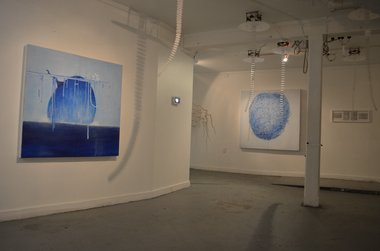 Installation of Carlos Wedde and Hayden Prujean's Deep Sea Dis-comedusae (2012) at Blue Oyster