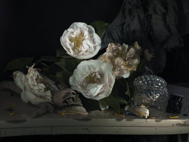 Fiona Pardington,  Still Life with My Mother's Camellia and Mokohinau Black, Coral 2011, pigment inks on Hahnemuhle Photo Rag