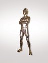 Louise Purvis, Golden Boy, 2010, silicon, bronze, 24 caret gold. Photo: Jill Segedin