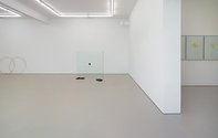 Dane Mitchell, Other Explications, 2013, installation view: Hopkinson Mossman, Auckland