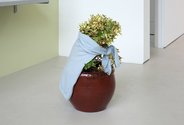 Kate Newby, Thinking with your body, 2014, pohutukawa plant, sweater, pot, 700 x 550 x 500 mm