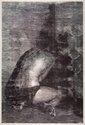 Sam Harrison, 19.26 Gemma, 2010, woodcut on Fabriano paer, 1430 x 830 mm (framed), courtesy of Fox/Jensen Gallery