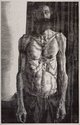 Sam Harrison, Gerrard, 2010, woodcut on Fabriano paper, 1000 x 700 mm (framed). Courtesy of Fox /Jensen Gallery