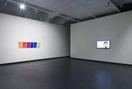 Grant Stevens: Particle Wave, 2012, lenticular print, 6 panels, each 50 x 30 cm;  If Things Were Different, 2009, digital video, 18 min 17 sec. Photo: Shaun Waugh 