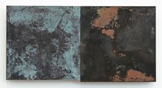 Stephen Bambury, Seasons (Autumn), 2014, chemical action on two brass panels on ply, 170 x 340 mm        