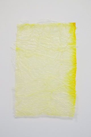 Chelsea Pascoe, No title from Yellow Stack, tissue, dye, polyurethane, 190 x 290 mm