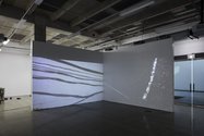 Bianca Hester, Two Channel video projection, 2015, HD video, 9.52 minutes, looped. Photo: Sam Hartnett