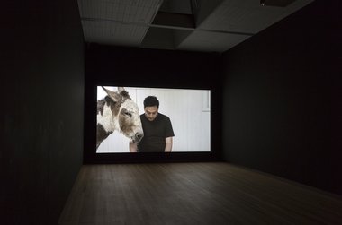 Installation at City Gallery of Shannon Te Ao's two shoots that stretch far out, 2013-14, HD video, cinematography by Iain Frengley.