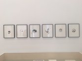 Six framed Zilvinas Kempinas ink drawings, 2010, paper fastened to moving fan. Photo: Pip Guthrie