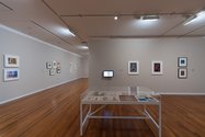 Gordon Walters: New Vision.  Installation Dunedin Public Art Gallery 2017  Photographer: Iain Frengley.  Courtesy of the Gordon Walters Estate.   