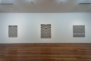 Gordon Walters: New Vision.  Installation Dunedin Public Art Gallery 2017. Genealology II (1967); Genealology III (1971); Genealology 5 (1971).  Photographer: Iain Frengley.  Courtesy of the Gordon Walters Estate.   