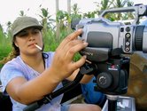 Vea Mafile'o at work in Tonga. Photograph take from The Coconet website. 
