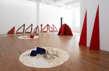 Pauline Rhodes, 'Pleasure and Pain', 1980 -2019 (from a continuum of performative working elements) painted and stained plywood, painted and stained canvas, silk, stained cotton, matagouri cuttings--as installed at Michael Lett