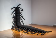 Hanna shim, Millipede 1, 2017, wool, polyester fill, wire, 900 x 2800 mm