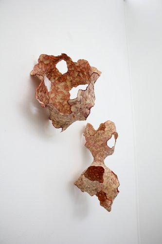 Ada Leung, Fungal Blooms (3), 2018. Pencil shavings and adhesive. Dimensions unavailable. Image courtesy of the artist