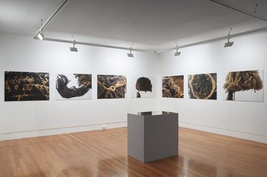 (UN)Registered Savages of Aotearoa, Hair to Stay, 2019, installation view, eight photographs of ulu cavu in British collections. Photo by Sam Hartnett